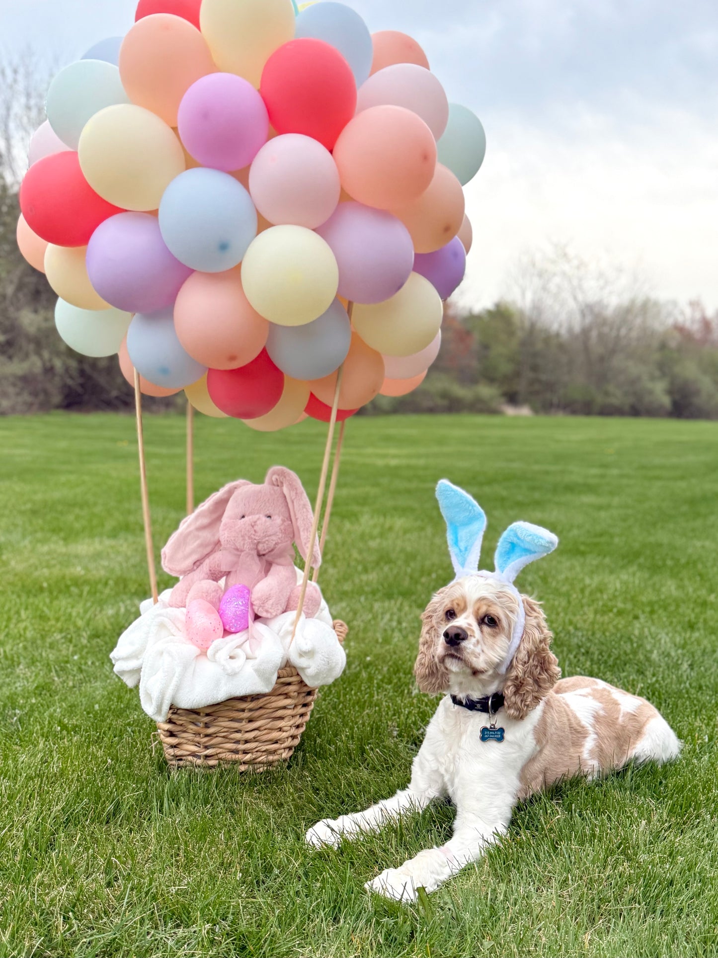 Air Balloon Arrangement with Plush Toy & Blanket