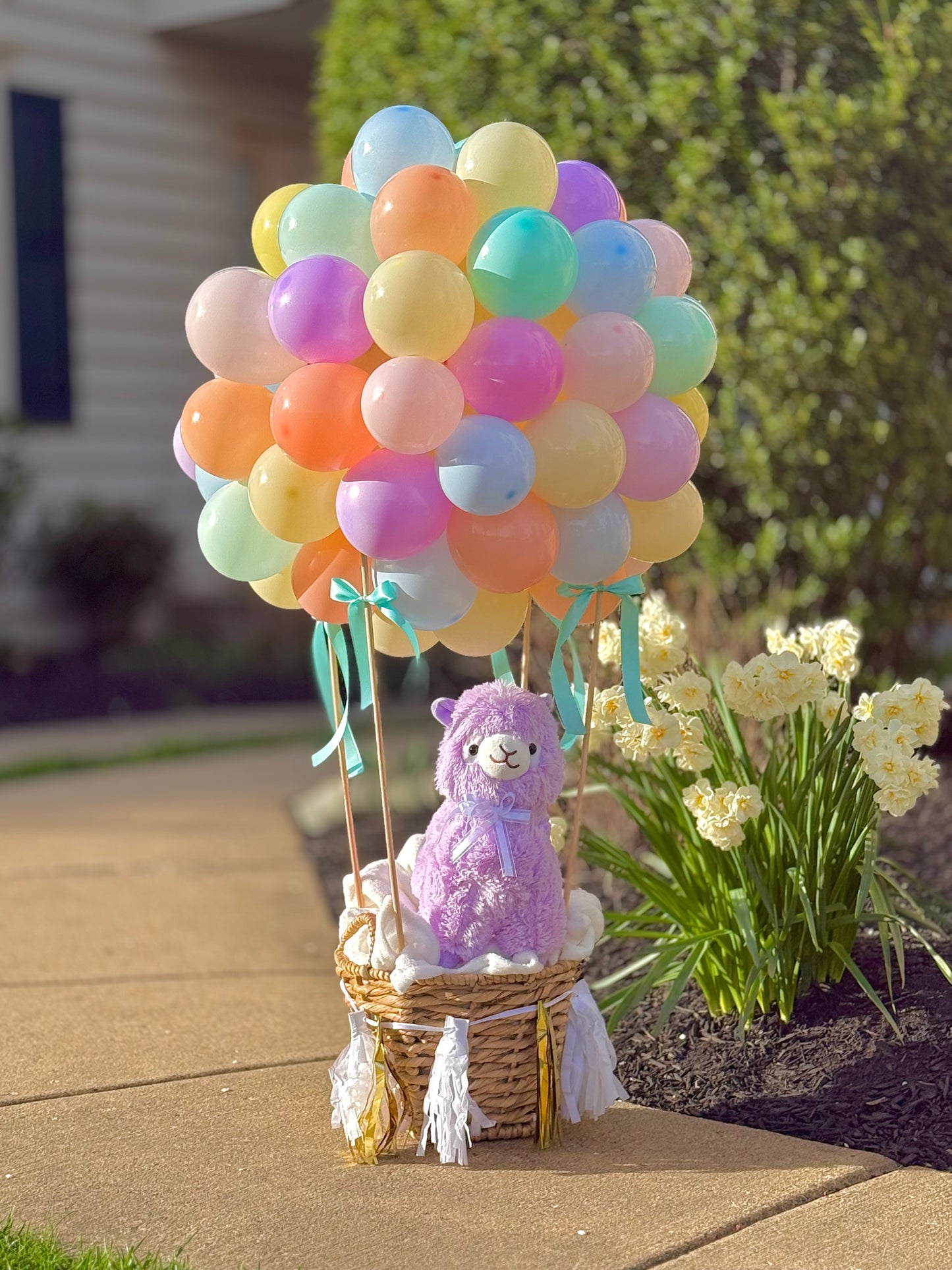 Air Balloon Arrangement with Plush Toy & Blanket