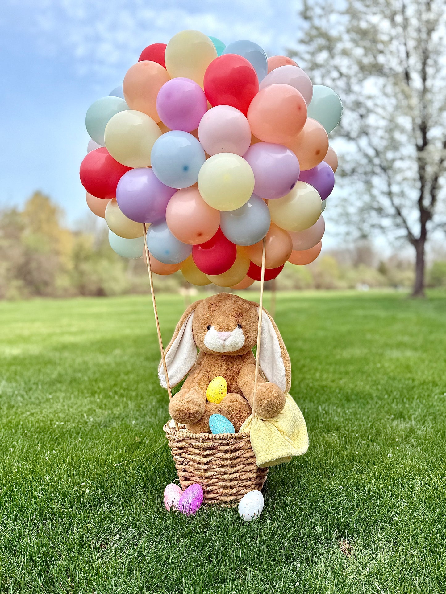 Air Balloon Arrangement with Plush Toy & Blanket