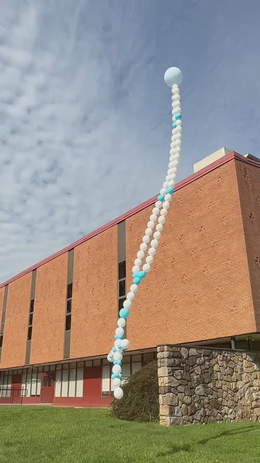 Balloon Rosary